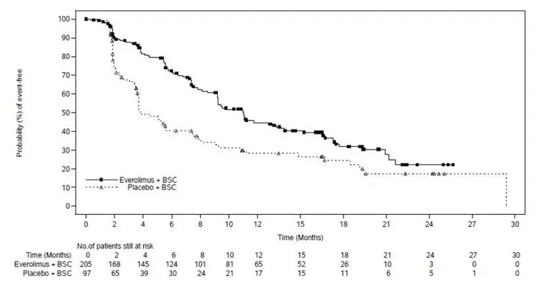 Figure 3: Kaplan-Meier Progression-free Survival Curves