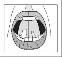 Figure3.jpg