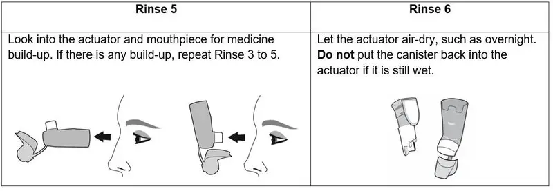 rinse 5 and 6