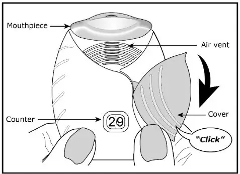 Figure D