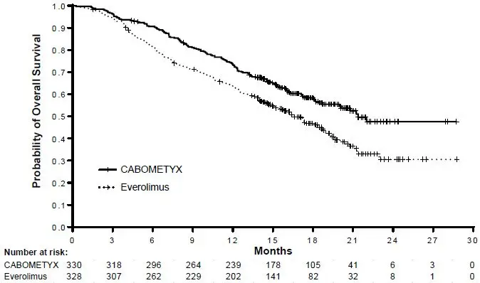 image of Kaplan-Meier Curve of Overall Survival in METEOR (ITT)