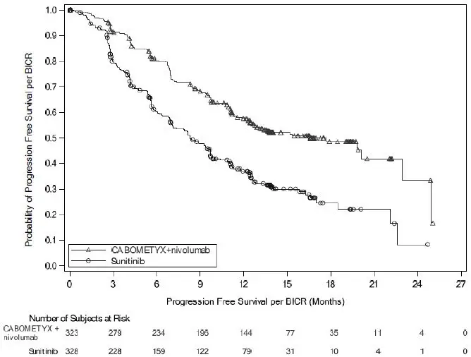 image of Kaplan-Meier Curve of Progression-Free Survival in CHECKMATE-9ER