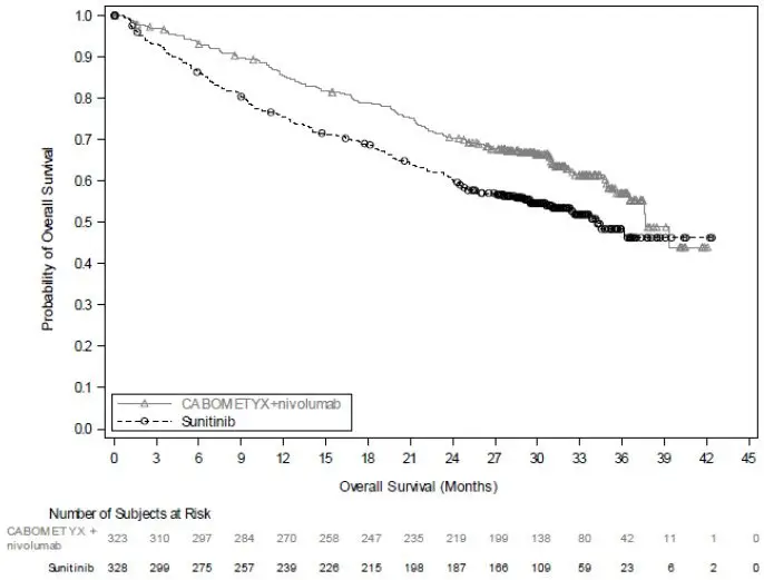 image of Kaplan-Meier Curve of Overall Survival in CHECKMATE-9ER