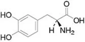 levodopa chem structure