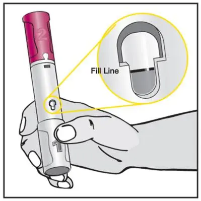 Title: fig-b-pen-with-window