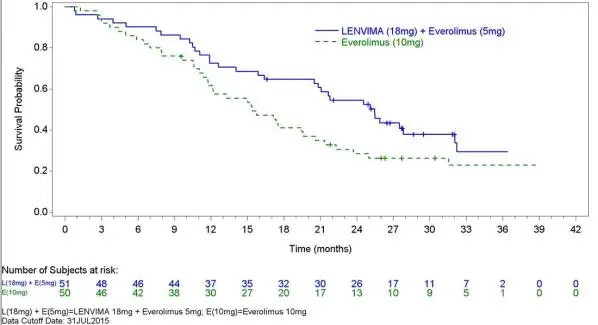 Figure 5: Kaplan-Meier Curves for Overall Survival in Study 205