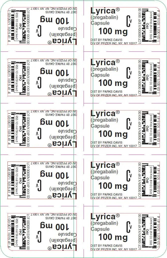 PRINCIPAL DISPLAY PANEL - 100 mg Capsule Blister Pack