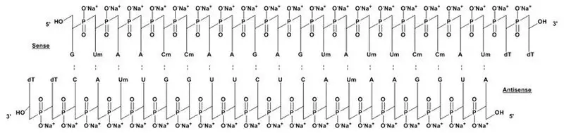 Chemical Structure