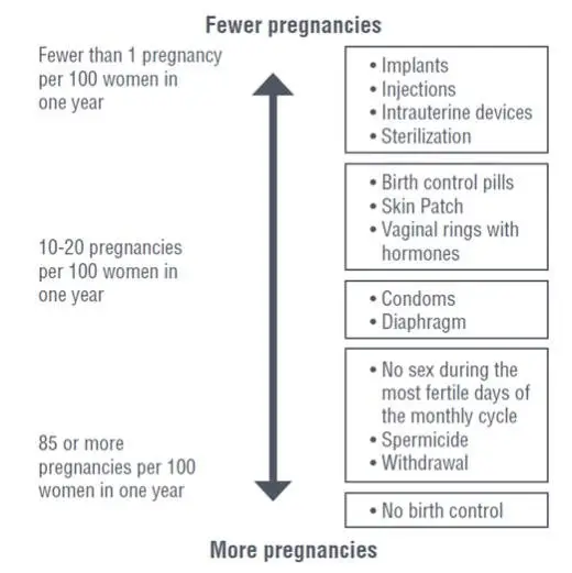 Pregnancy Chart