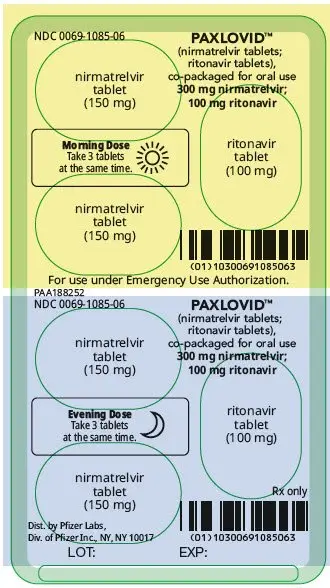 PRINCIPAL DISPLAY PANEL -  6 Tablet Blister Pack - 0069-1085