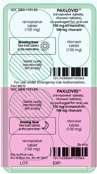 PRINCIPAL DISPLAY PANEL -  4 Tablet Blister Pack - 0069-1101