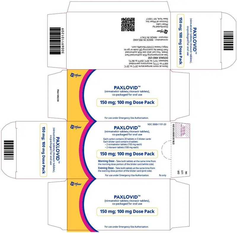 PRINCIPAL DISPLAY PANEL - Kit Carton - 0069-1101