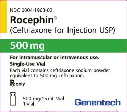 Principal Display Panel - 500 mg Vial Carton