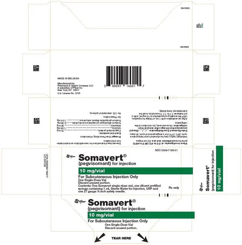 PRINCIPAL DISPLAY PANEL - Kit Carton - 7166-01