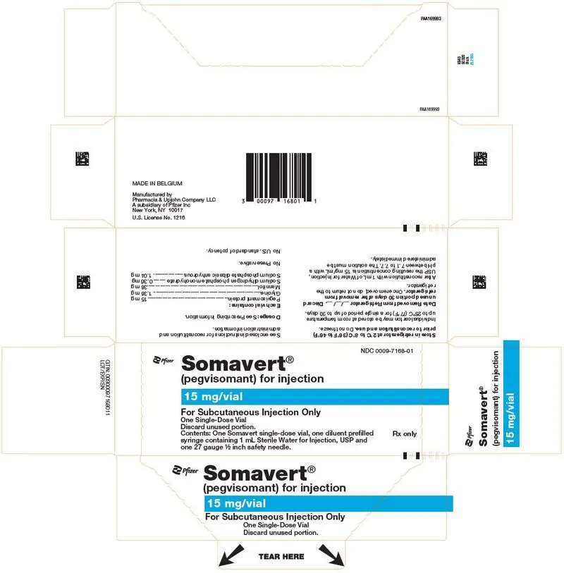 PRINCIPAL DISPLAY PANEL - Kit Carton - 7168-01