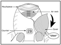 Figure D