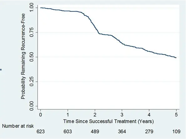 Figure 1. Kaplan-Meier Plot Displaying Estimated Probability of Remaining Recurrence-Free over Time in the Observational Study 4 among Joints that were Successfully Treated in a Previous Study