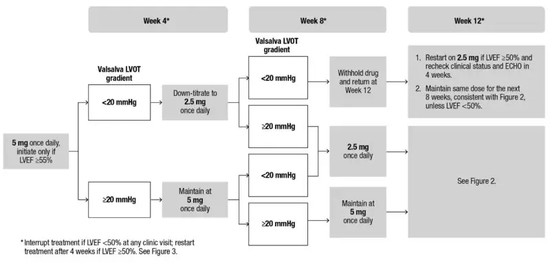 Fig_InitiationPhase