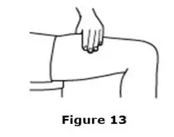 Figure 13