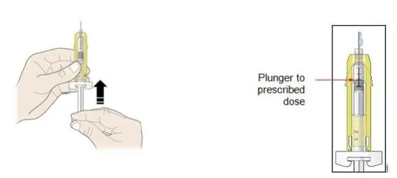 H  Slowly push the plunger rod up to the line on the syringe barrel that matches your prescribed dose.