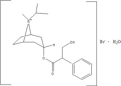 Atrovent Structure