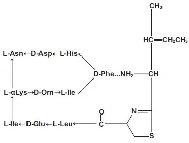 Chemical Structure