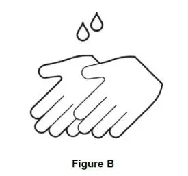 Figure B