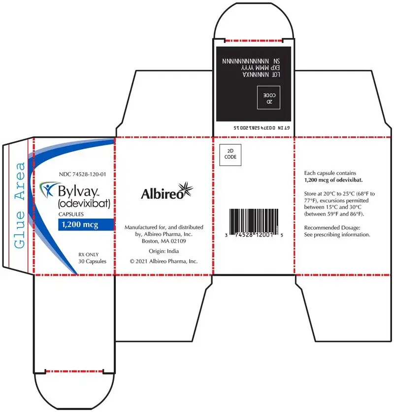 PRINCIPAL DISPLAY PANEL - 1,200 mcg Capsule Bottle Carton