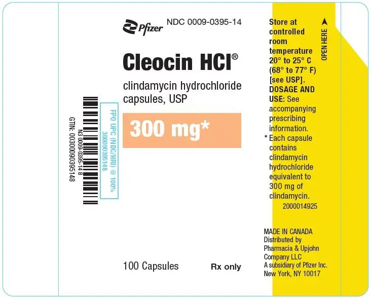 PRINCIPAL DISPLAY PANEL - 300 mg Capsule Bottle Label