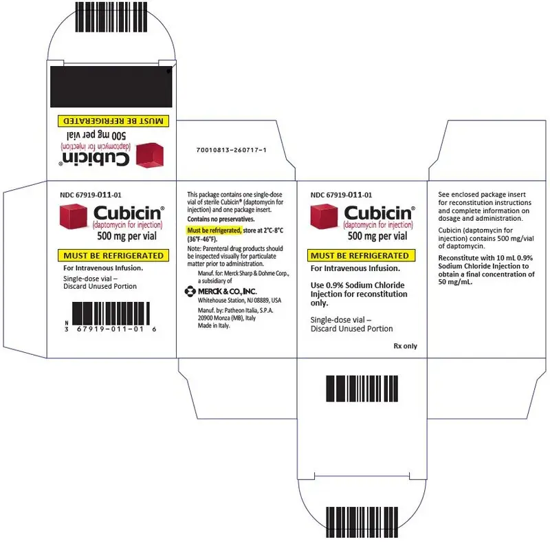 PRINCIPAL DISPLAY PANEL - 500 mg Vial Carton