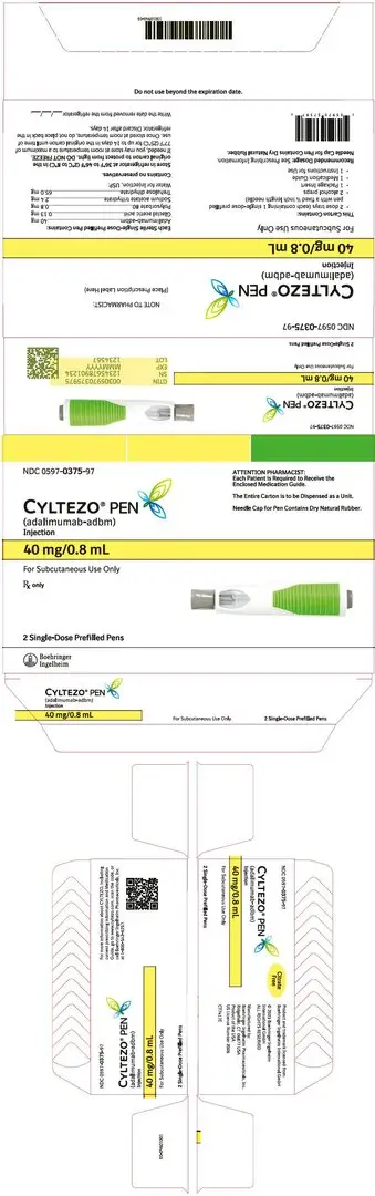 PRINCIPAL DISPLAY PANEL - Kit Carton - 0597-0375-97