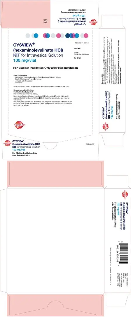 PRINCIPAL DISPLAY PANEL - Kit Carton