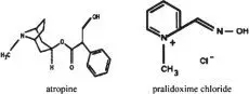 Structural Formula
