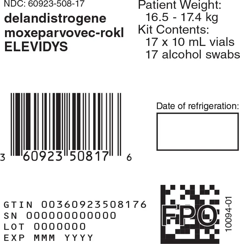 Principal Display Panel -10 mL 17 count Carton Label
