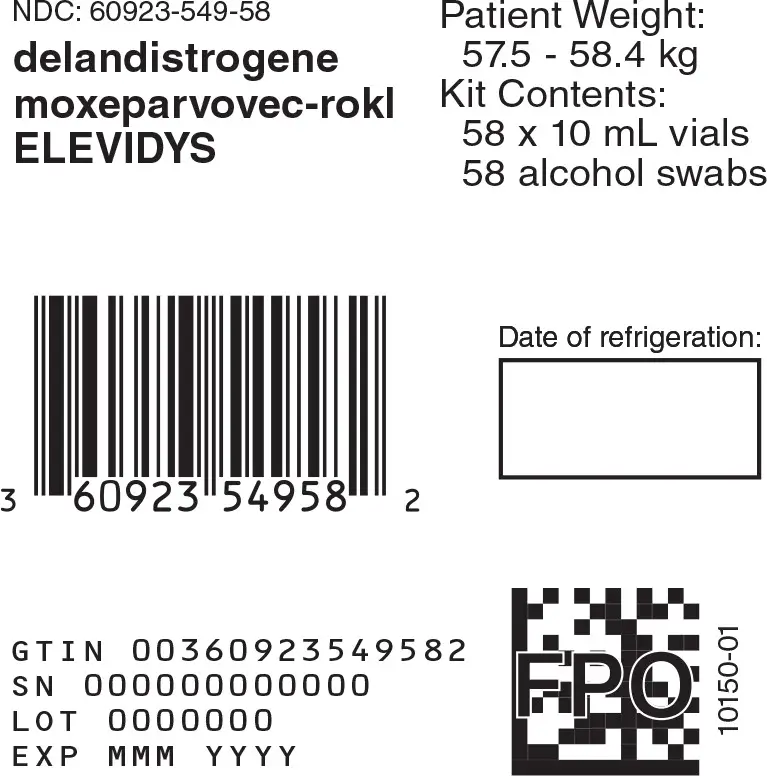 Principal Display Panel -10 mL 58 count Carton Label
