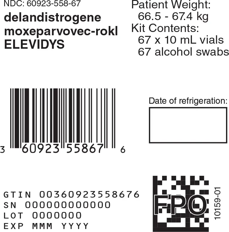 Principal Display Panel -10 mL 67 count Carton Label
