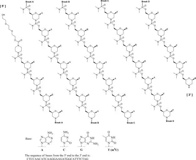 Structure and Base Sequence of Eteplirsen
