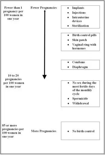 Pregnancy Chart