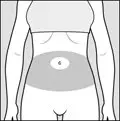 figure_c_abdomen