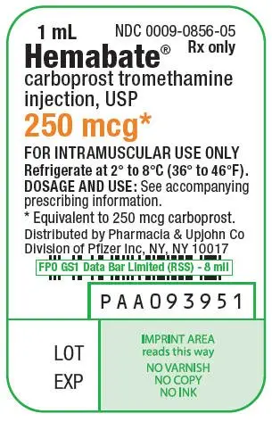 PRINCIPAL DISPLAY PANEL - 1 mL Ampule Label