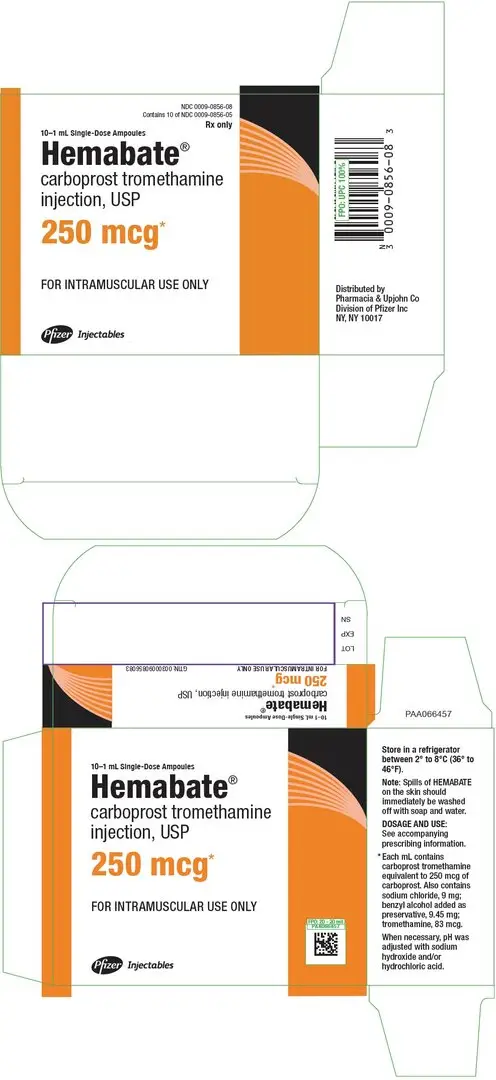 Principal Display Panel - 10 Single-Dose Ampoule Carton