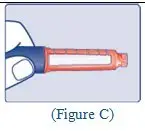 Figure C