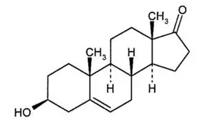 Prasterone