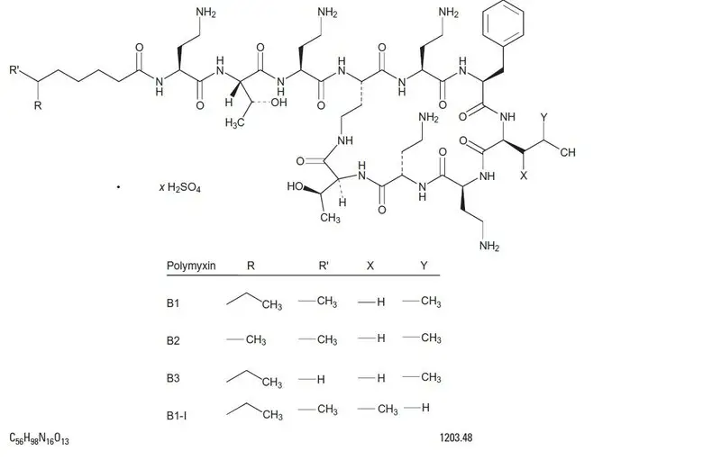 A picture containing text, diagram, pattern

Description automatically generated