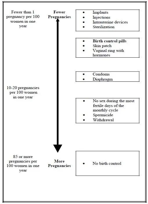 Pregnancy Diagram