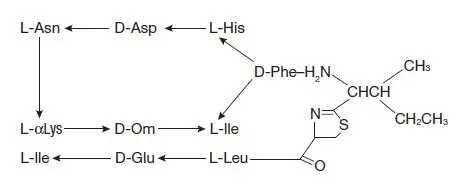 Enfortumab vedotin structural formula