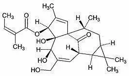 Chemical Structure