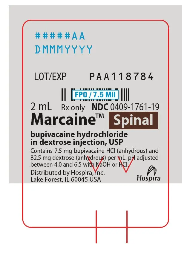 PRINCIPAL DISPLAY PANEL - 2 mL Ampule Label - 1761-19