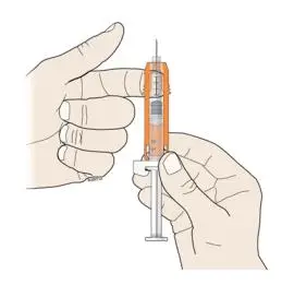 Slowly push the plunger rod up to the line on the syringe barrel that matches your prescribed dose.