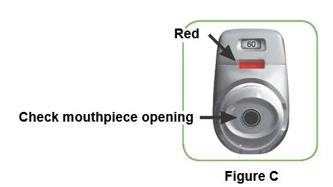 Figure 1: Relative Change From Baseline in FEV1% Predicted